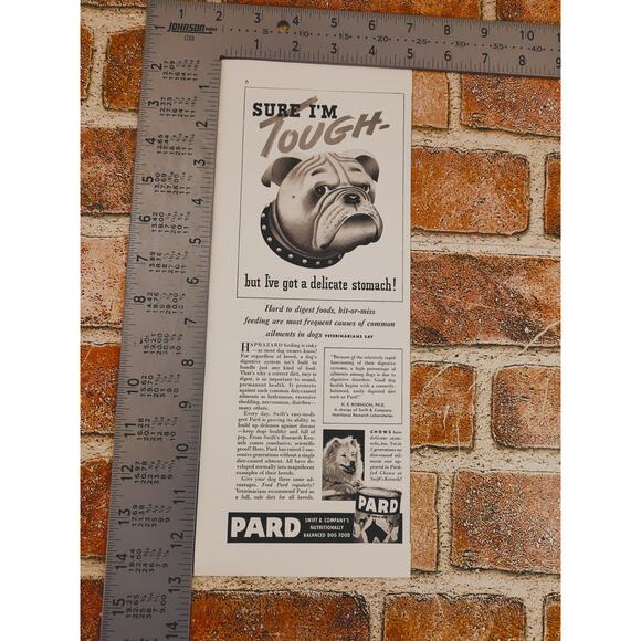 1941 Bulldog Tough but Delicate Stomach Pard Dog‎ Food Vintage Print Ad - Picture 5 of 9